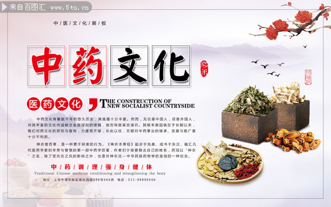 百草回春 中国风中药文化海报的千年魅力