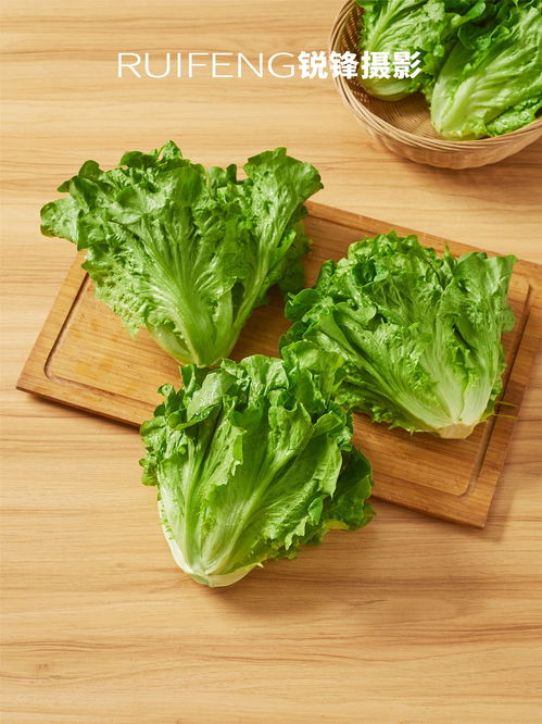 农产品摄影 以生菜为例的静物拍摄技巧